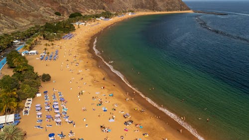 People at Beach on Sunny Day