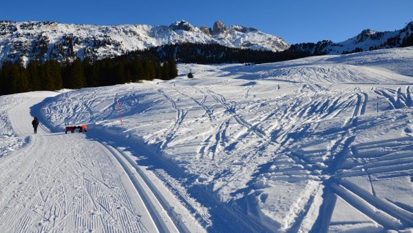 Comfort Ski Set: Piste/All-round