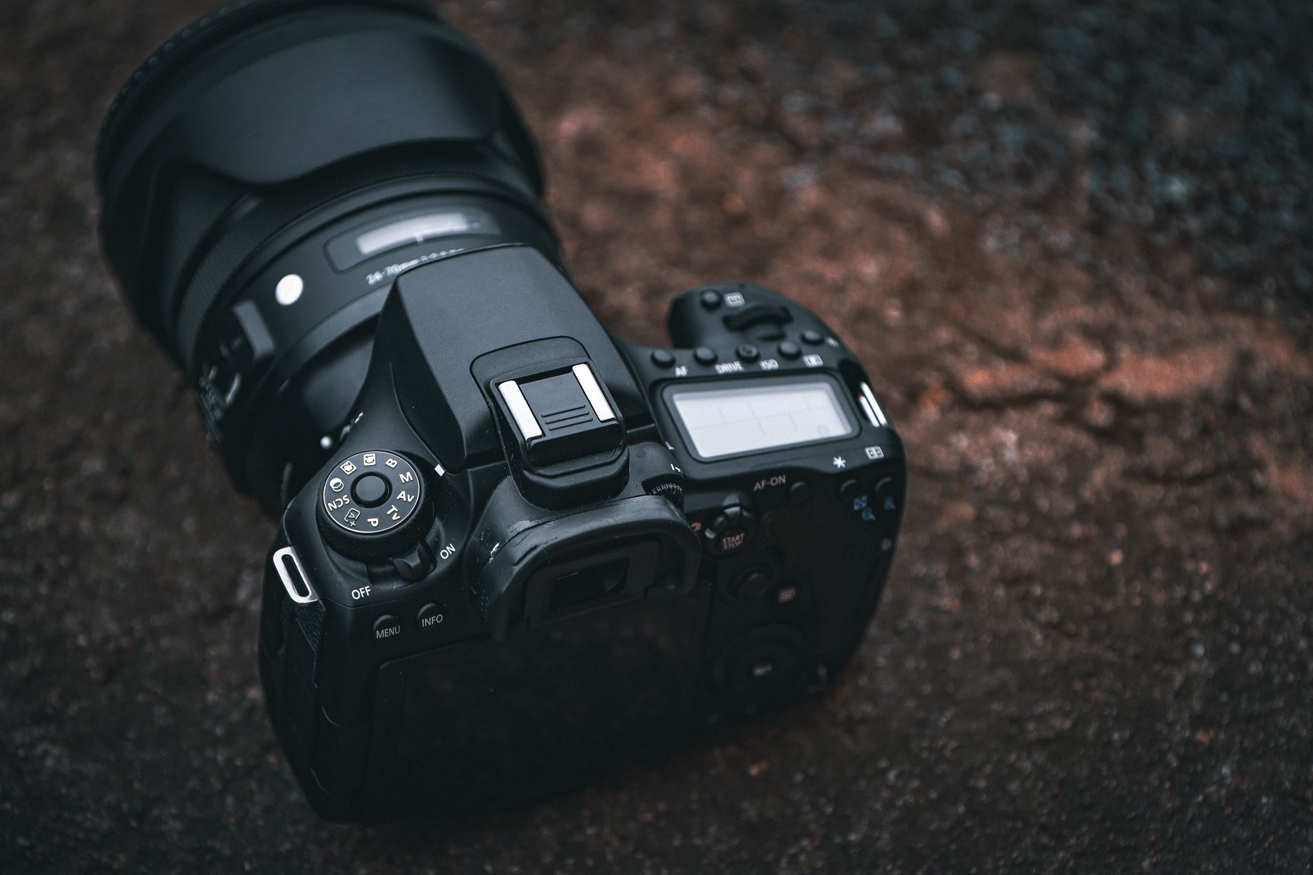 5 Best Cameras for Landscape Photography 2026