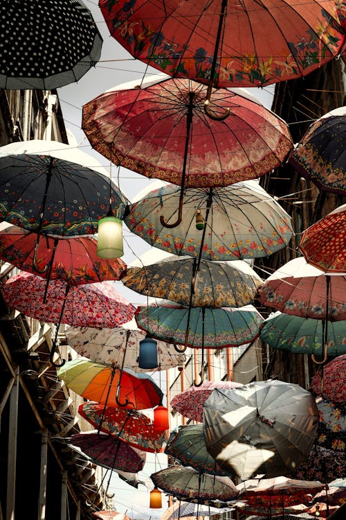 Umbrellas on a Street 