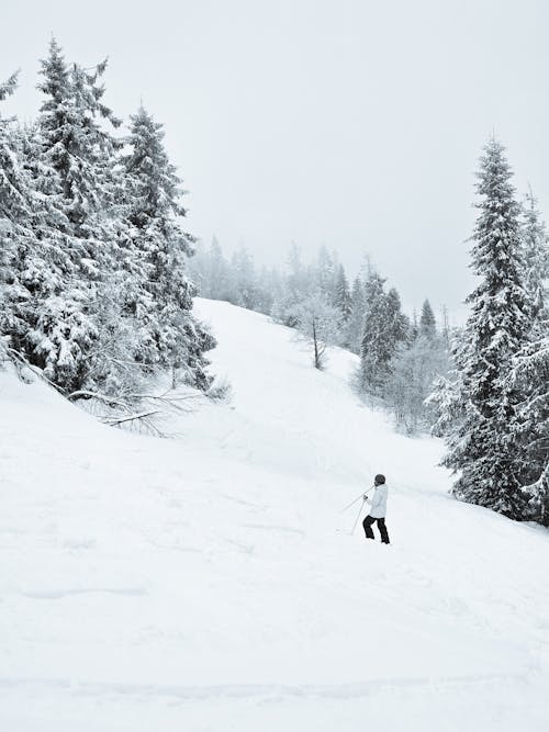 人, 冬季, 垂直拍攝 的 免費圖庫相片