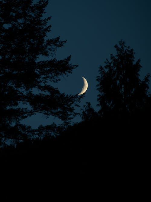 Free stock photo of crescent moon, moon photography, moon wallpaper