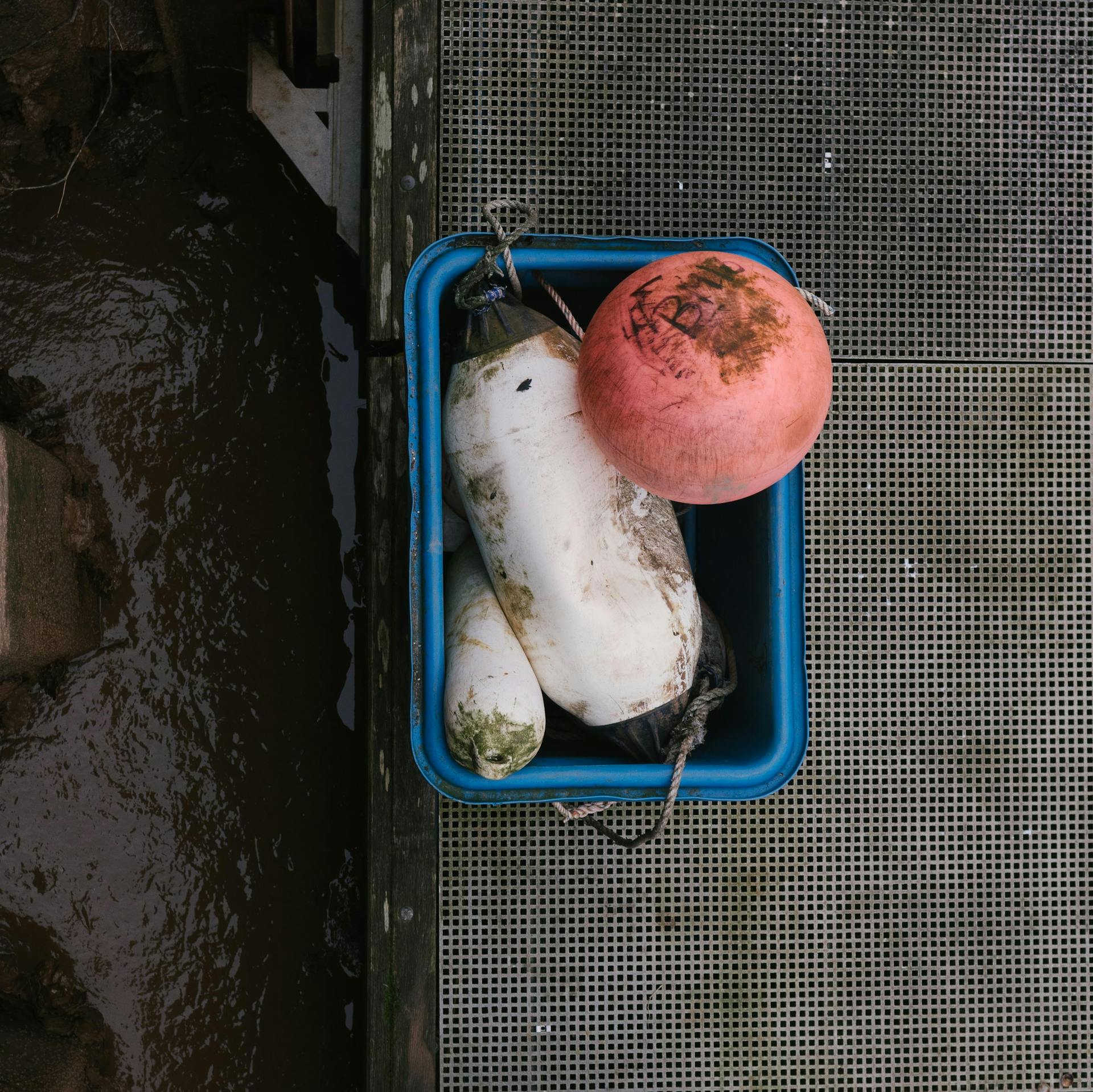 Turnips in Blue Box