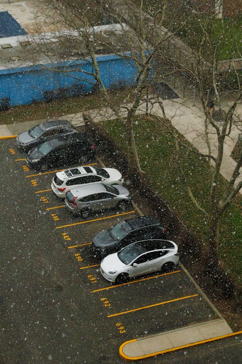 Cars on Parking Lot in Winter