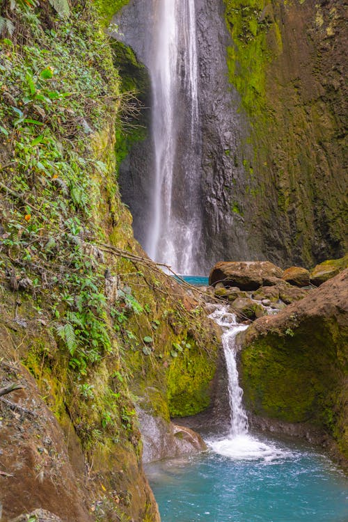 Imagine de stoc gratuită din apă, cascadă, costa rica