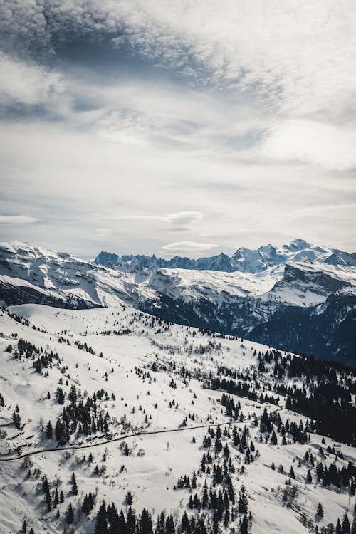 Free stock photo of blanc, footage, mont blanc