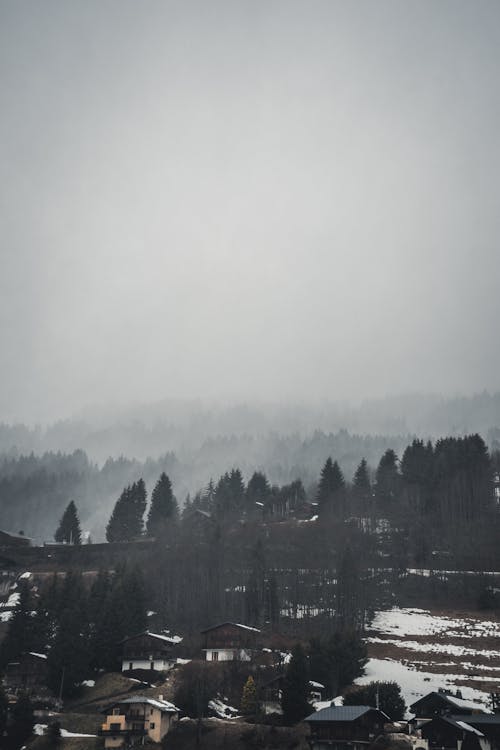 Free stock photo of brume, fog, fog on the mountain