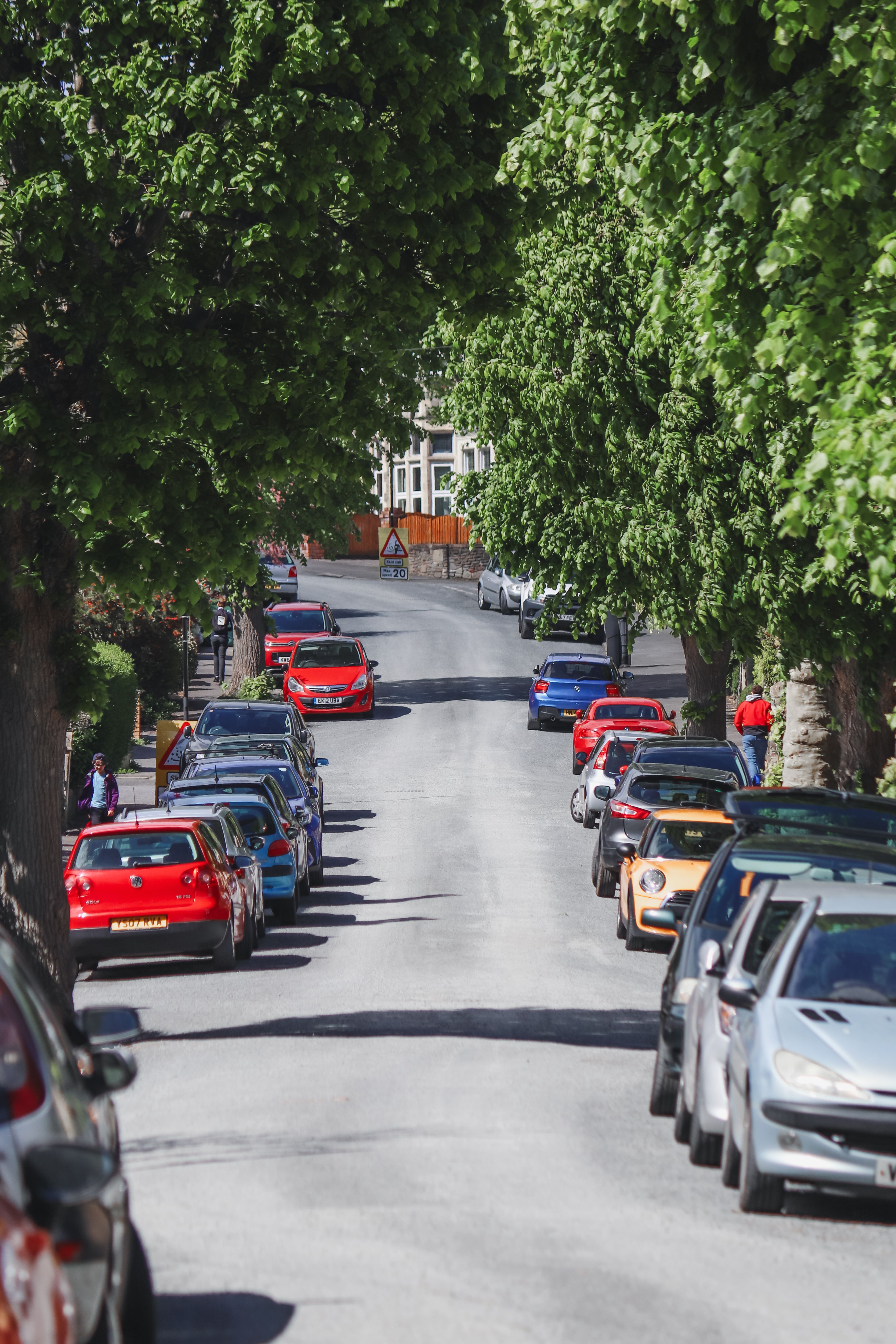 A street lined with parked cars and trees · Free Stock Photo