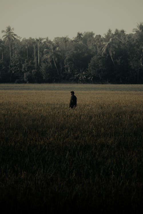 Silhouette of Man on a Field 
