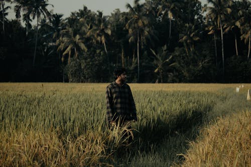 Man on a Field Among Palm Trees 