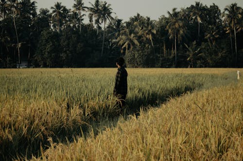 A Person Standing on a Field with Palm Trees in the Background 