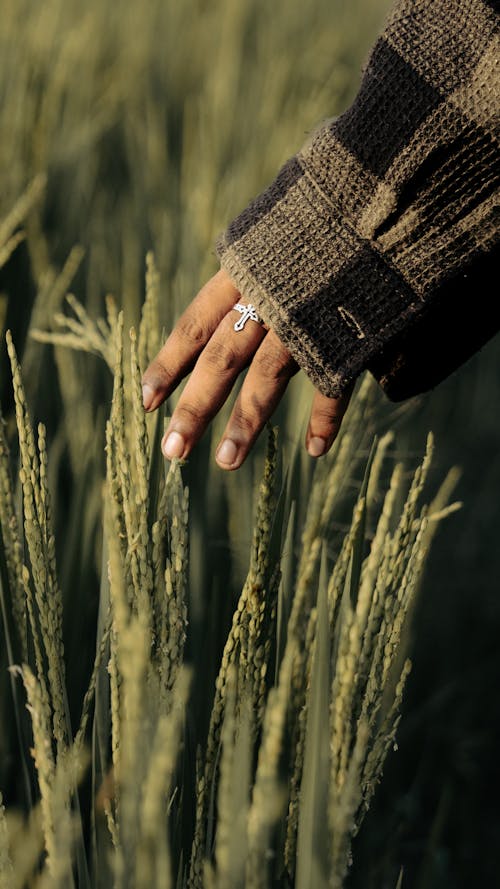 Close-up of a Person Touching the Grass on a Field