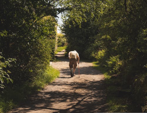 Elderly Man Walking on Footpath in Forest