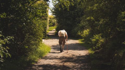 An elderly man walking with a cane along a shaded forest path on a sunny day.
