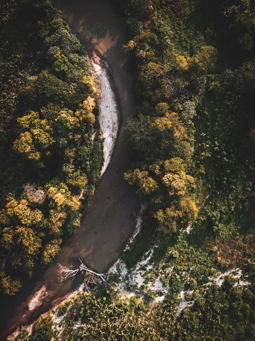 Free Discover the lush greenery and winding river captured from above in Tucurinca, Magdalena, Colombia. Stock Photo