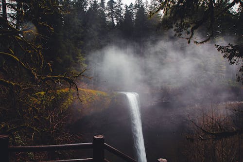 Ingyenes stockfotó ezüst esik, hangulatos természet, oregon témában