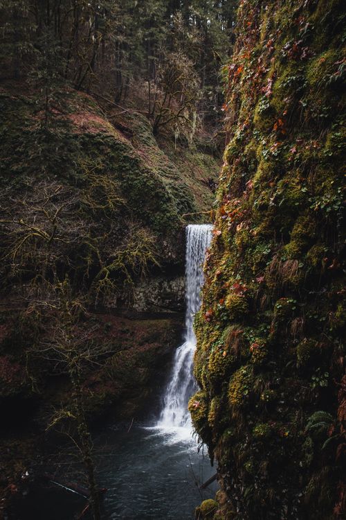 Free A serene waterfall cascades through a lush forest, surrounded by moss-covered rocks. Stock Photo