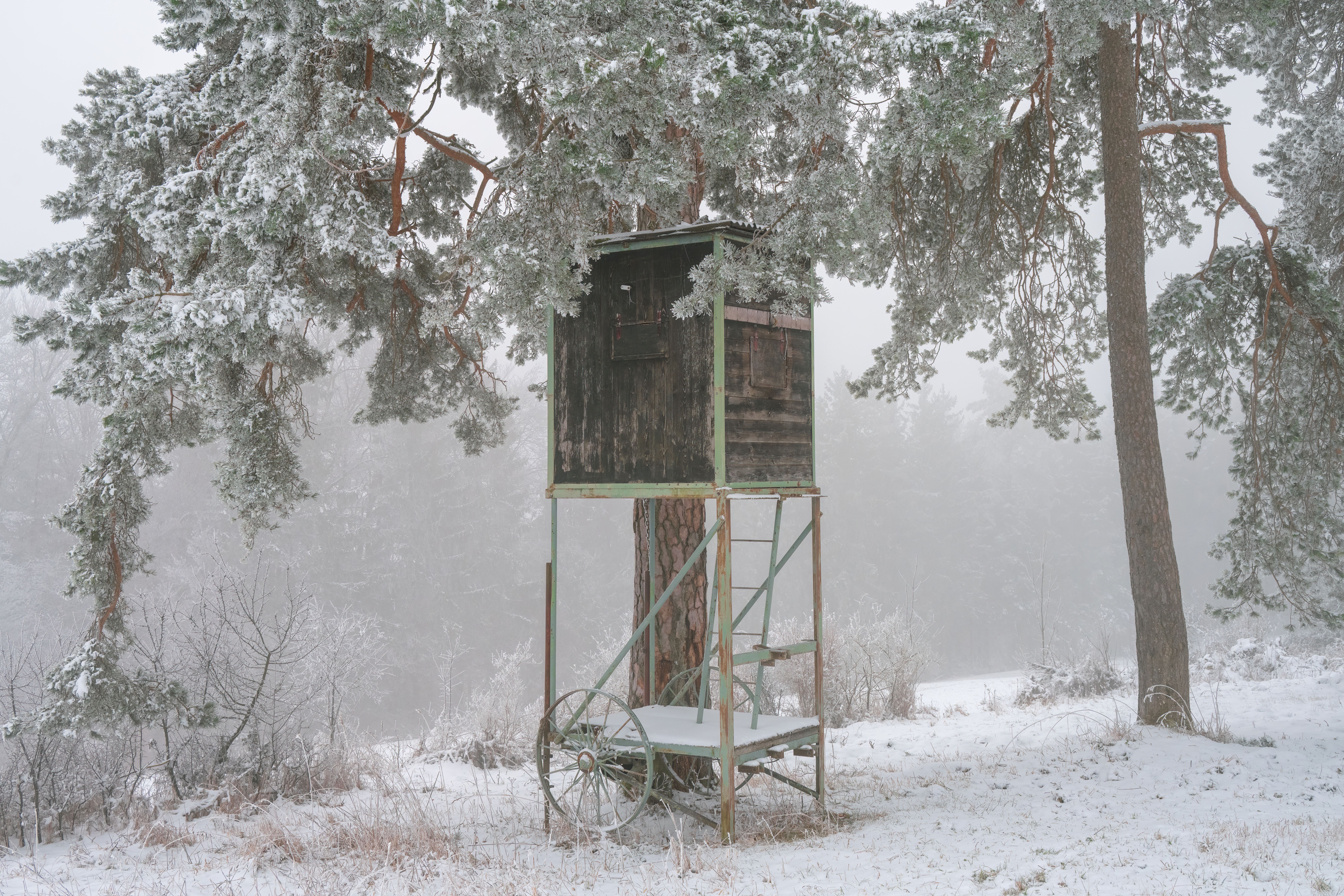 Best Tree Stands 2026: Hang-On, Ladder & Climber Picks
