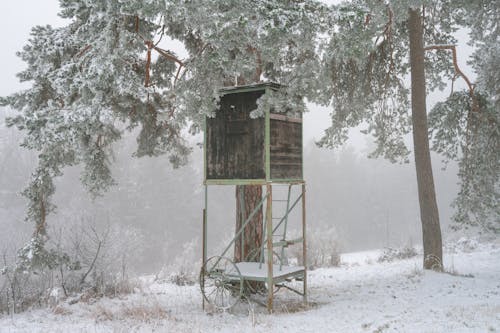 Wooden Building in a Forest in Winter 