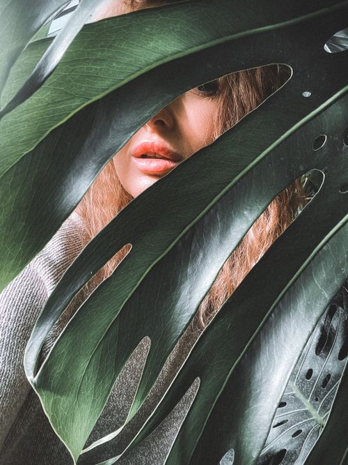 Free A captivating portrait of a woman partially hidden behind monstera leaves, blending nature and human elements. Stock Photo