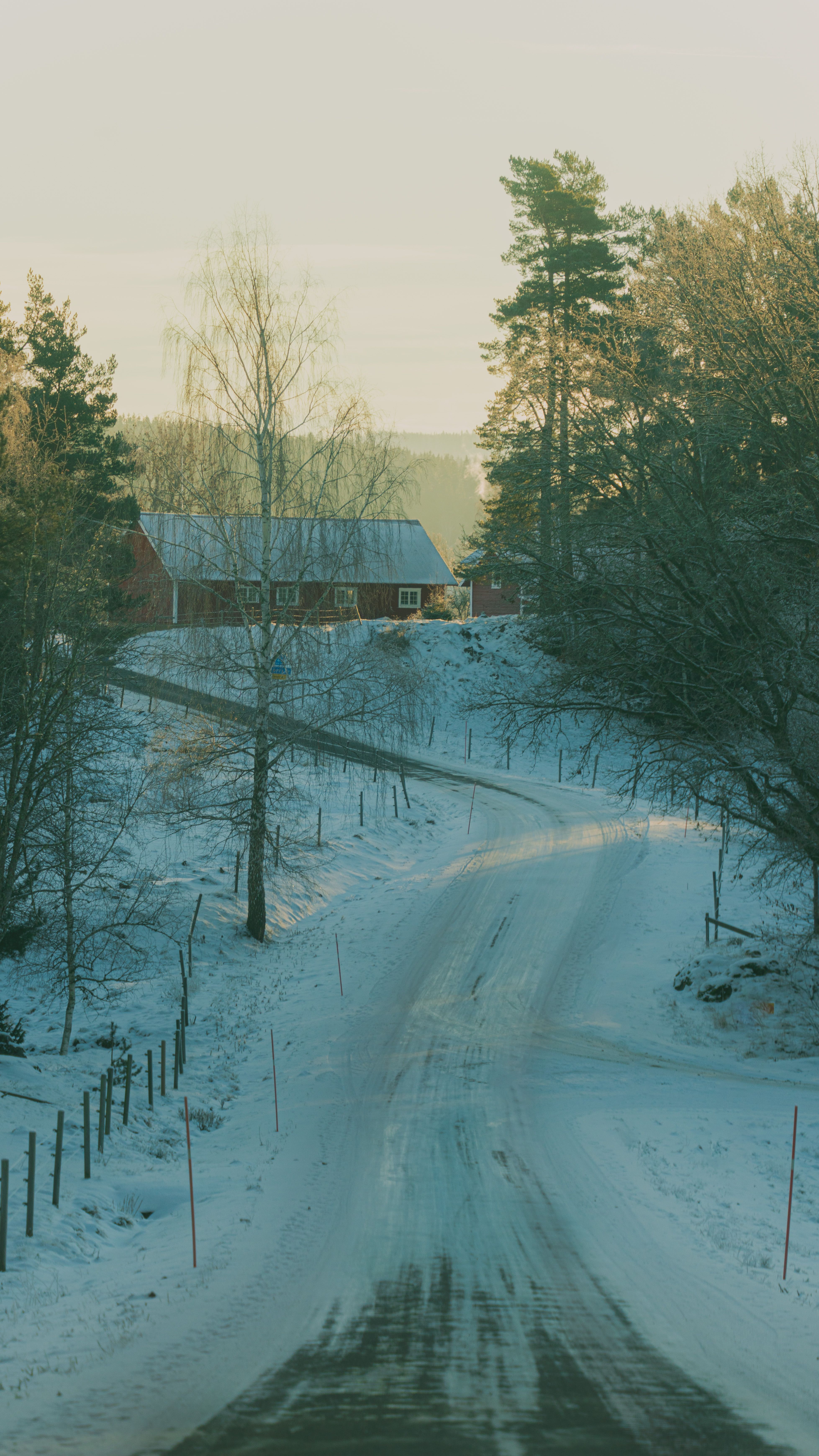 Path Covered with Snow Among Trees · Free Stock Photo