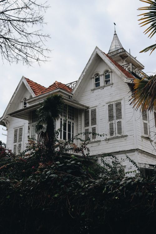 Free Elegant white Victorian house surrounded by lush greenery and palm trees. Stock Photo