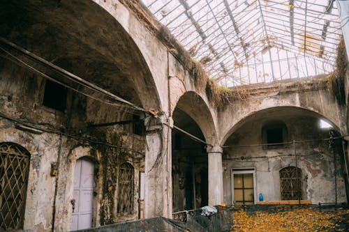 Abandoned Greenhouse Covered with Golden Leaves 
