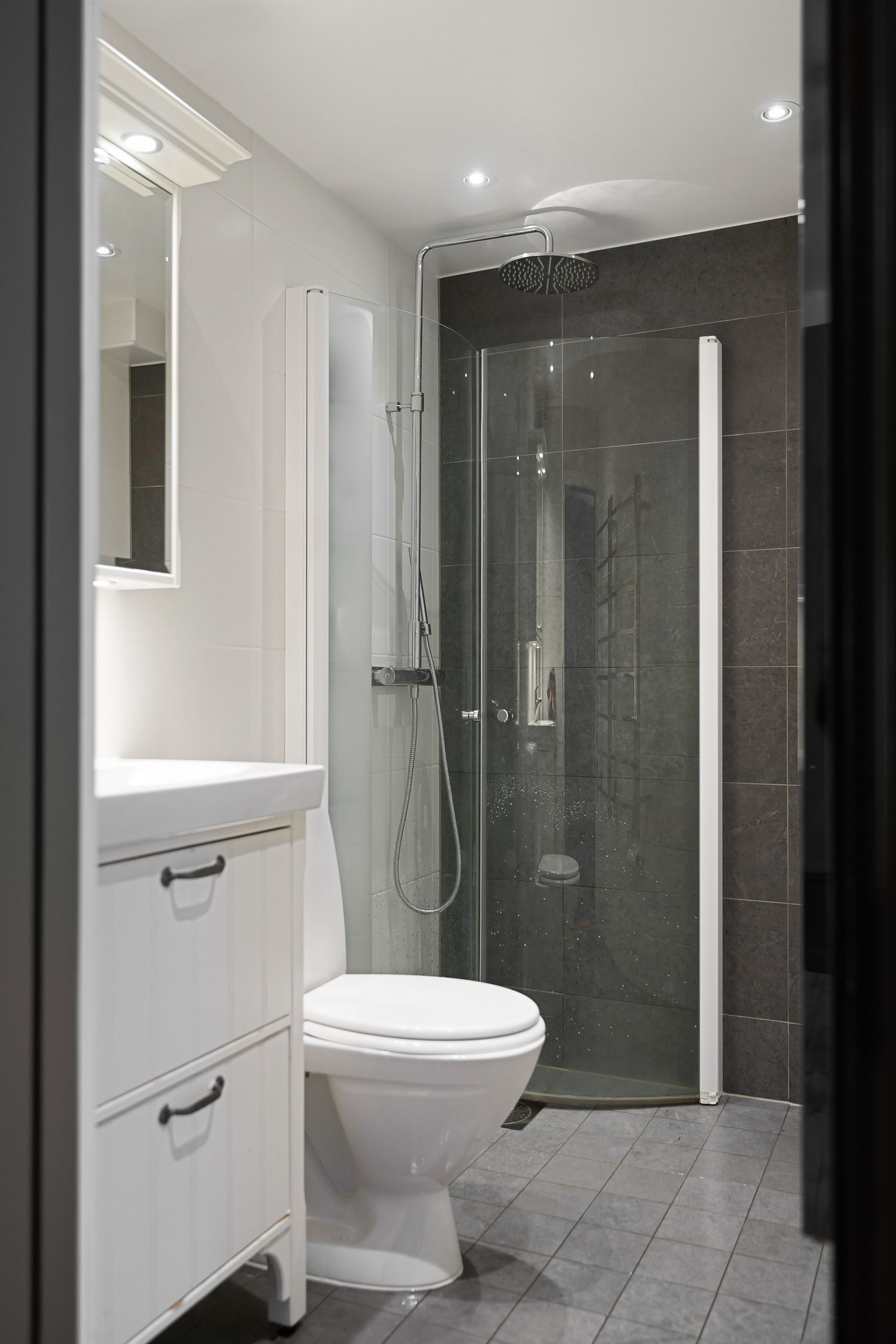 Narrow white bathroom with a vanity, toilet and dark glass shower arranged in one clear line