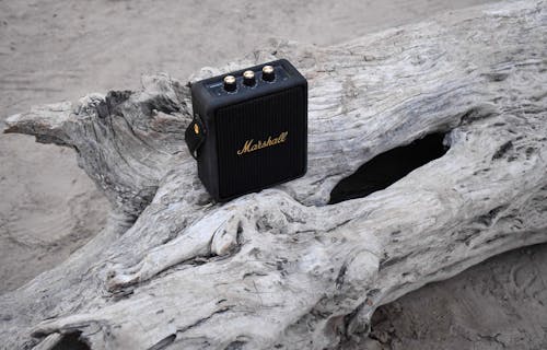 Speaker on a Tree Log 