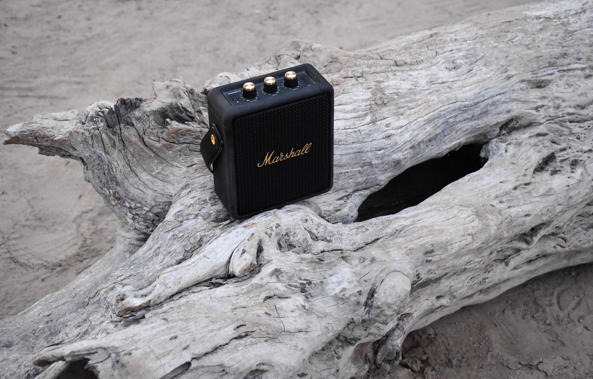 Black portable speaker on a driftwood log in an outdoor setting, perfect for music lovers.