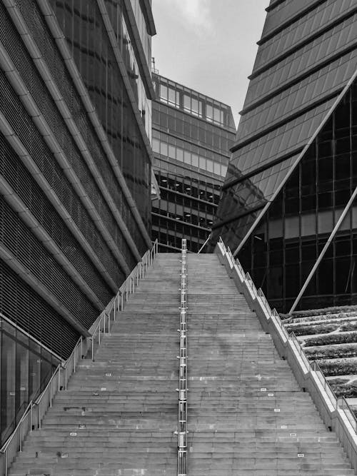 Foto d'estoc gratuïta de blanc i negre, edifici, escales