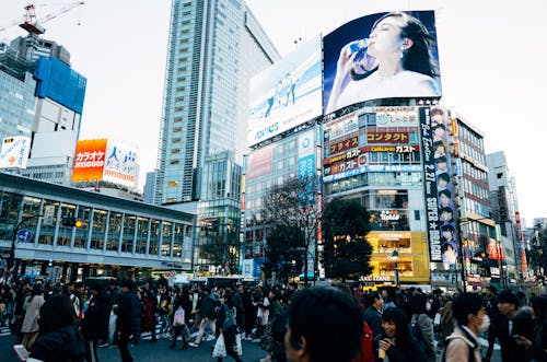 Δωρεάν στοκ φωτογραφιών με Broadway, shibuya διέλευση, ανατολική ασία