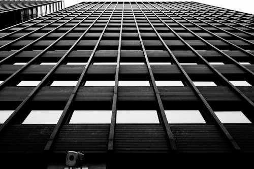 Windows in an Office Building in Black and White 