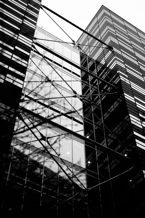 Office Building Windows in Black and White