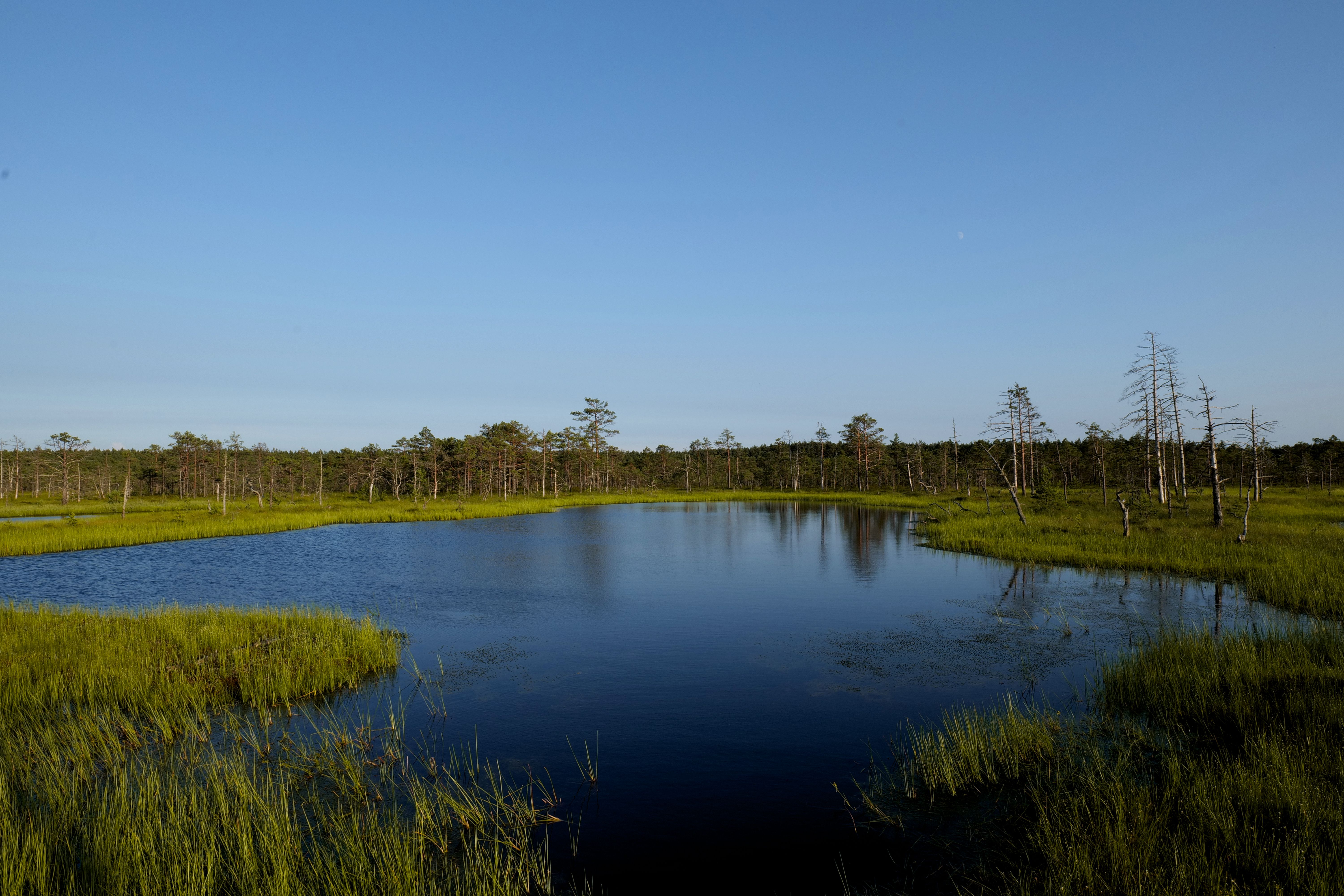 Circular water-filled meteorite crater rimmed with trees at Kaali on Saaremaa