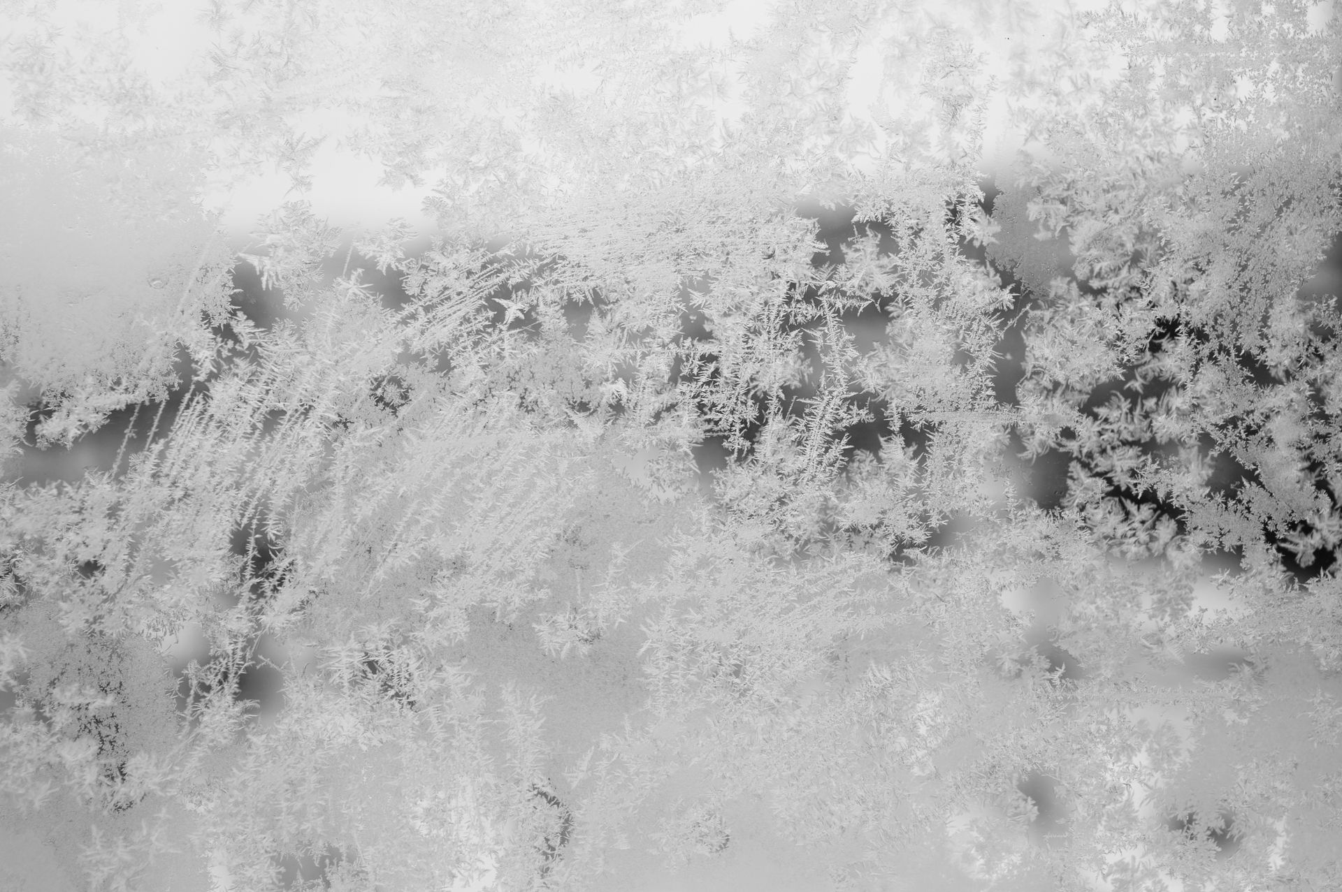 Frozen Window in Winter