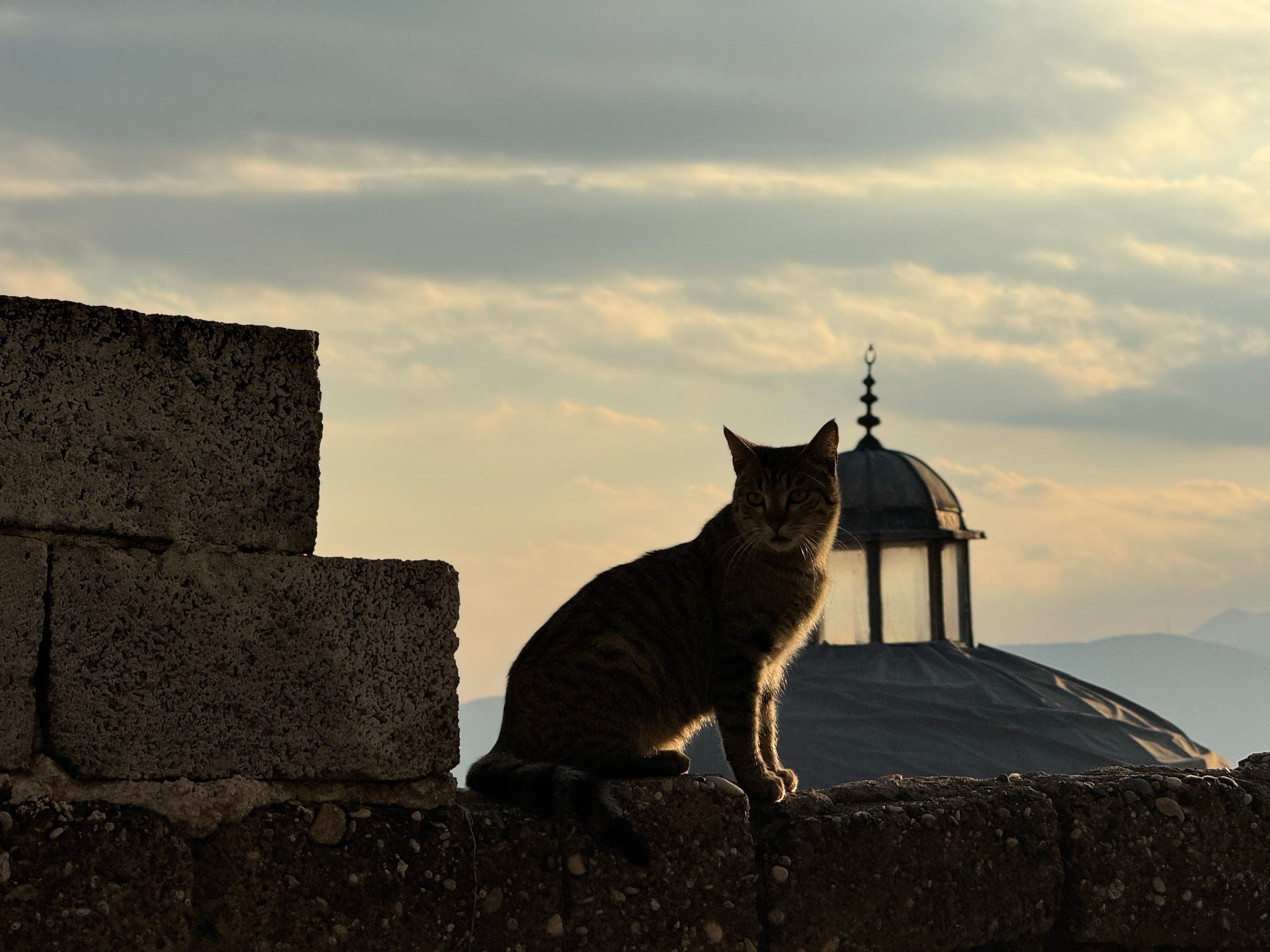 Ancient Palaces, a Cat Café, and KPop Demon Hunters—the Perfect Family Travel Itinerary for South Korea — Photo by Niyazi Gök