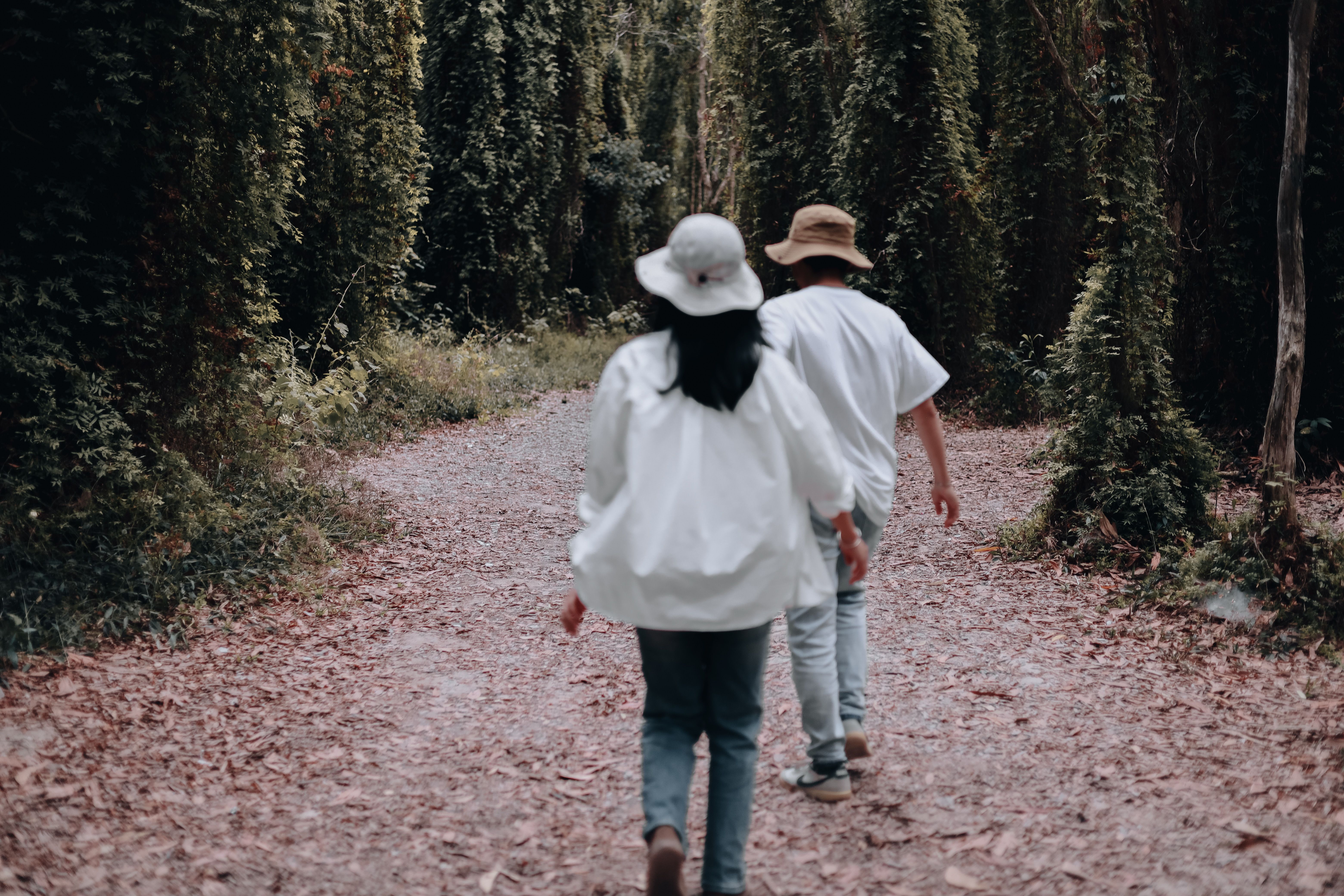 Back view of a couple walking through a serene forest path in autumn. Tranquil and natural setting.