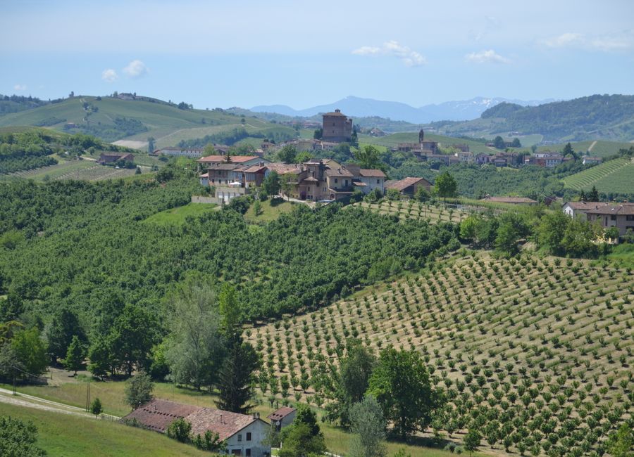Picturesque landscape of vineyards and village in Belvedere Langhe, Piemonte, Italy.