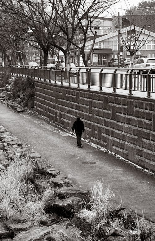 Immagine gratuita di bianco e nero, camminando, cittadina