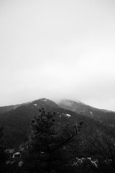 Misty mountain landscape in black and white, creating a mysterious and serene atmosphere.