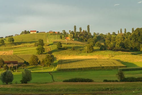 Fotobanka s bezplatnými fotkami na tému dedinský, hracie polia, kopec