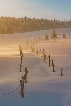 A tranquil winter scene with snow-covered fields and trees in Tonya, Trabzon, Türkiye.