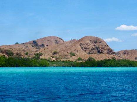 Manta Point diving/snorkel — Komodo Islands