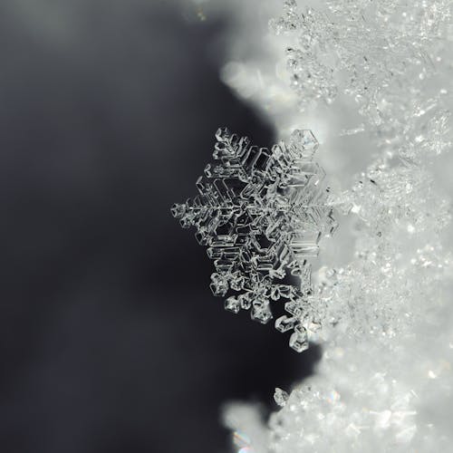 Free stock photo of macro photography, snow, snowflake