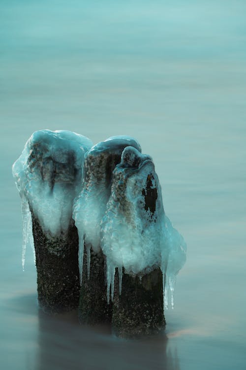 Wooden pillars in frozen water