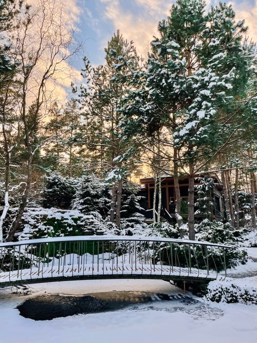 Free A peaceful footbridge in a snowy forest, perfect for winter scenes. Stock Photo