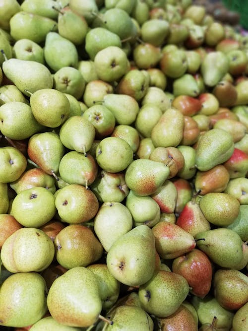 Free stock photo of fruits