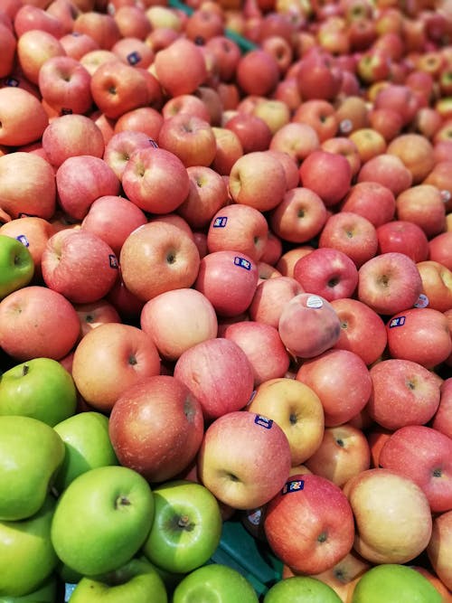 Free stock photo of apple