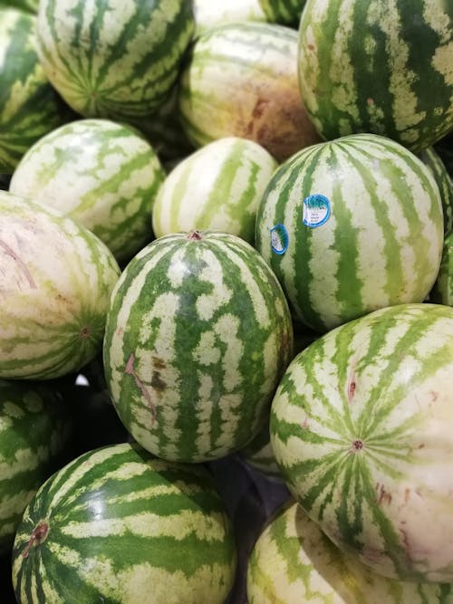 Free stock photo of fruits